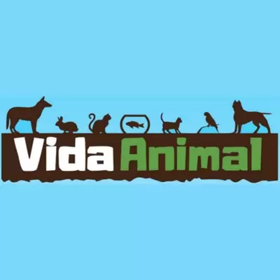 Casa de Ração Vida Animal