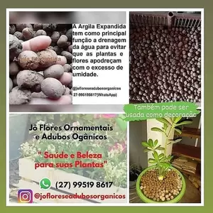 Argila Expandida