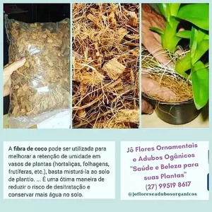 Fibra de Coco