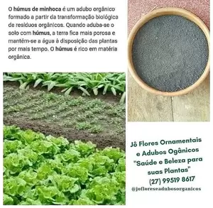 Húmus de Minhoca