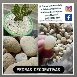 Pedras Decorativas