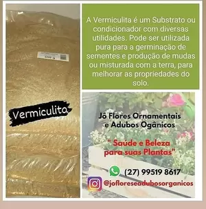 Vermiculita